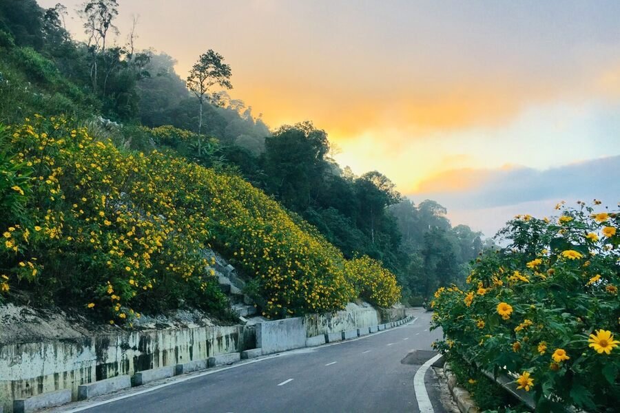 Hanoi Mountain Bike Tour Ba Vi National Park 1 Day